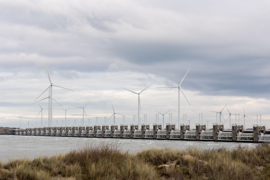 duurzaam ondernemen, Lelystad foto voor Duurzaam ondernemen in Lelystad: kleine stappen met effect