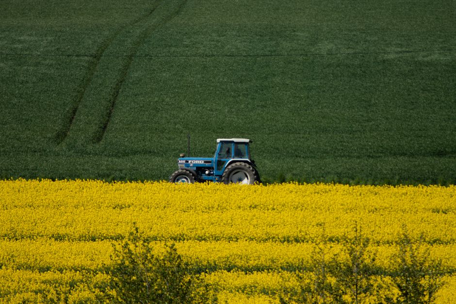 agrarisch ondernemen, Lelystad foto voor Agrarisch ondernemen rond Lelystad